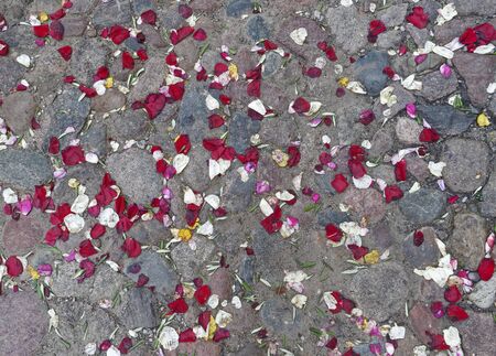 Rose petals on cobblestone pavement on the way to marriage ceremony in church ( location Lithuania, Vilnius).の写真素材