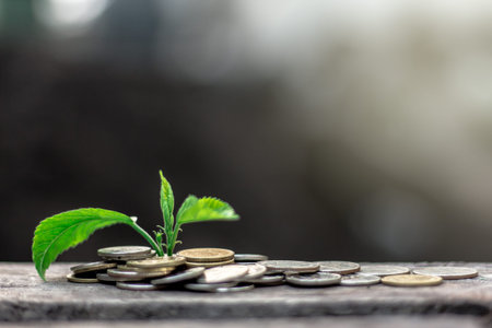 Close-up and soft focus.Plant growing on coins money with copy spaceの写真素材