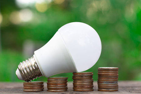 concept energy saving lightbulb with plant growing and money stack. ,concept of idea business...