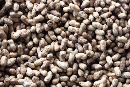 peanuts in shell top view patternの写真素材