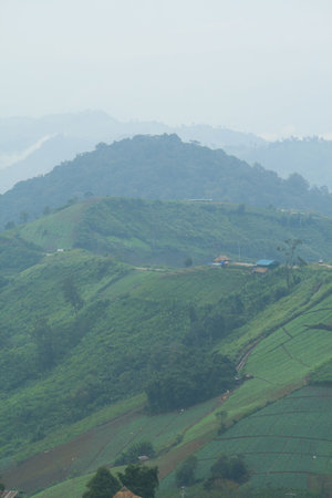 Mountain landscape, agriculture on the mountain, North part of Thailand 