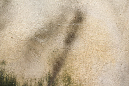 Grunge wall texture background.の写真素材