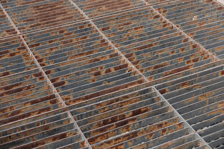 Grate of Drain cover