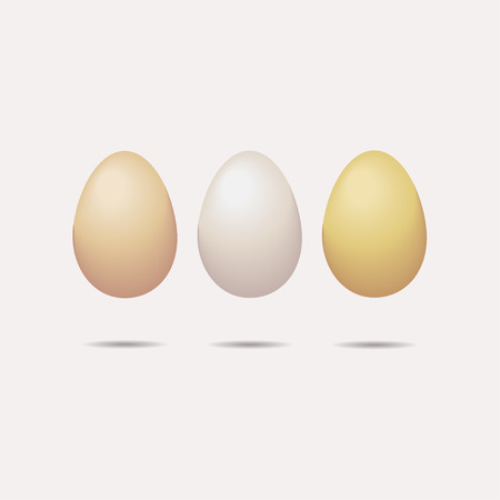 EGGSのイラスト素材