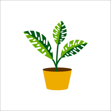 Plantのイラスト素材