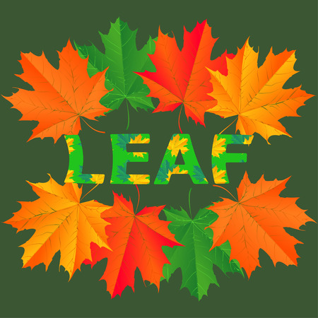 Leaf Backgroundのイラスト素材
