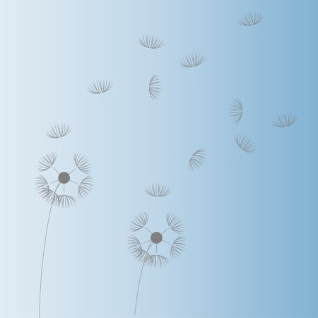 Dandelion  Seedsのイラスト素材