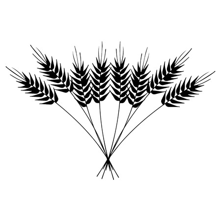 Wheatのイラスト素材