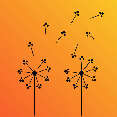 Dandelion  Seedsのイラスト素材