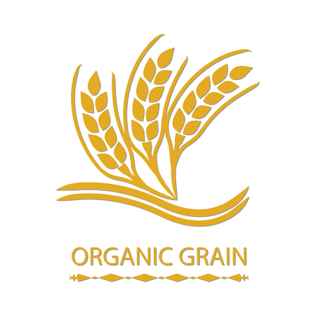 Organic Grain (Wheat)のイラスト素材