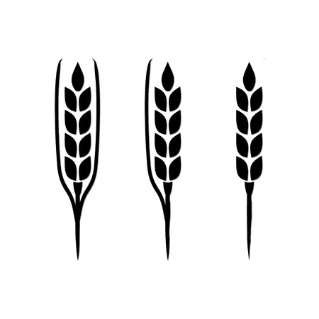 Organic Grain (Wheat)のイラスト素材