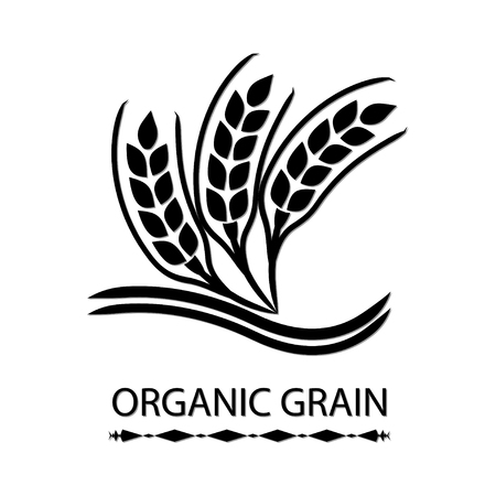 Organic Grain (Wheat)のイラスト素材