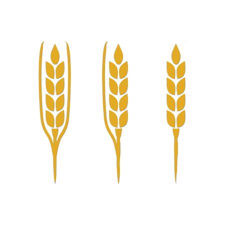 Organic Grain (Wheat)のイラスト素材
