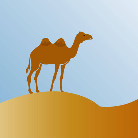 Camel on desertのイラスト素材
