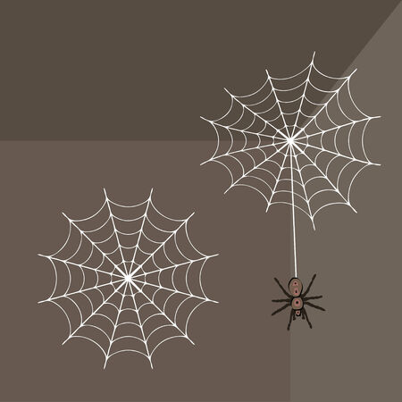 Spider Webのイラスト素材