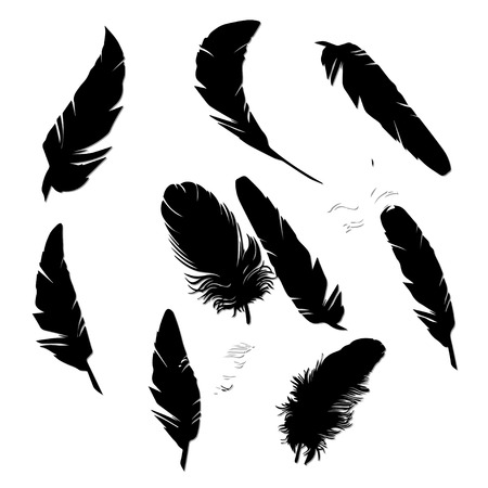 featherのイラスト素材