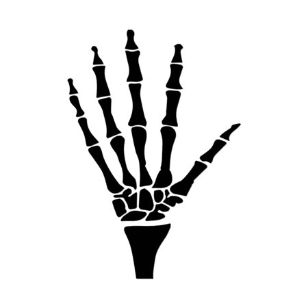 hand anatomicalのイラスト素材