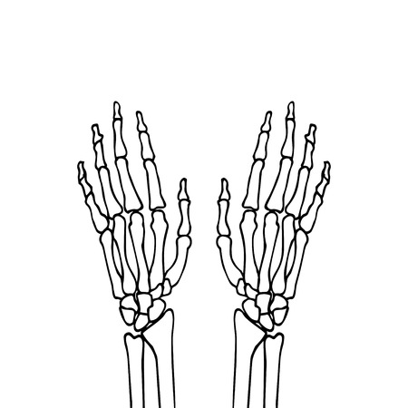 hand anatomicalのイラスト素材