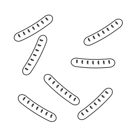 Grilled Sausageのイラスト素材