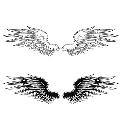 Wingのイラスト素材