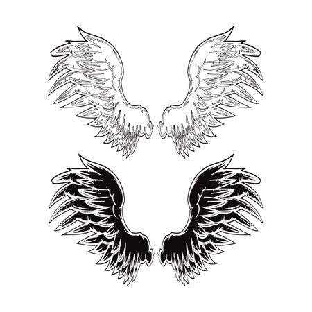 Wingのイラスト素材