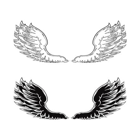 Wingのイラスト素材