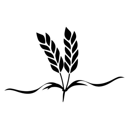 Wheatのイラスト素材