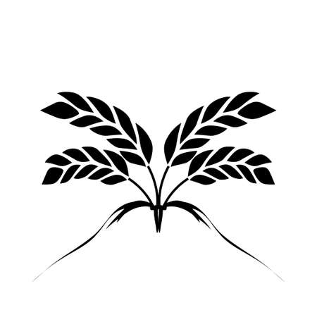 Wheatのイラスト素材
