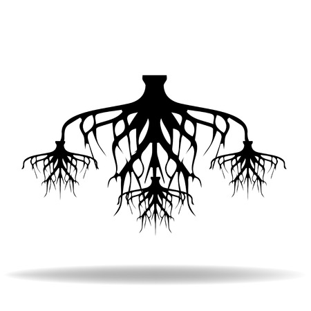 Rootのイラスト素材