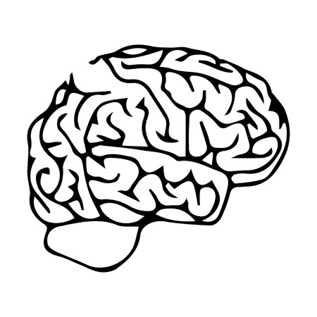 Brainのイラスト素材