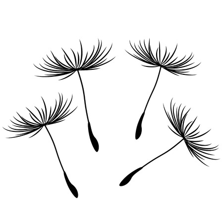 Dandelion Seedsのイラスト素材