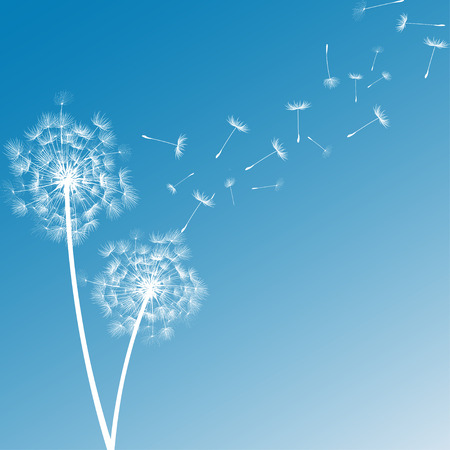 Dandelion Seedsのイラスト素材