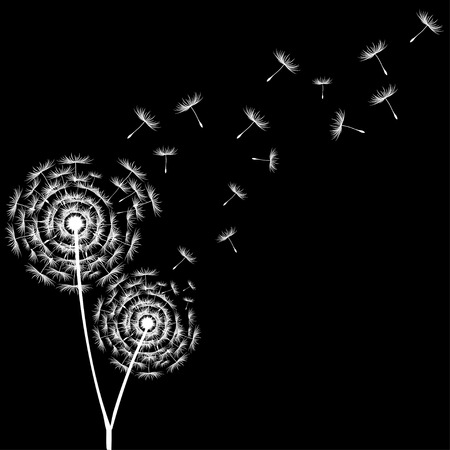 Dandelion Seedsのイラスト素材