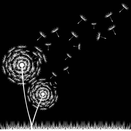 Dandelion Seedsのイラスト素材