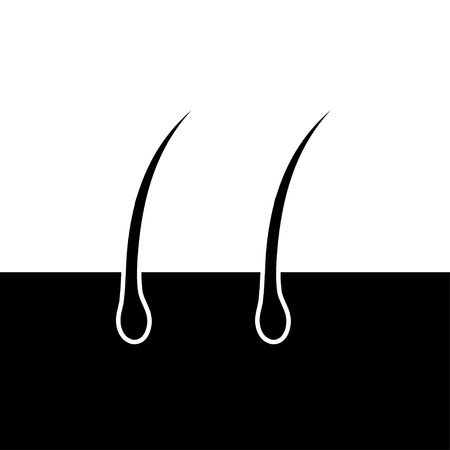 Poreのイラスト素材