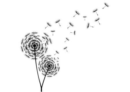 Dandelion Seedsのイラスト素材