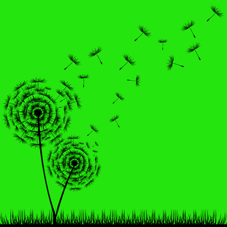 Dandelion Seedsのイラスト素材