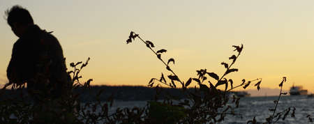 Man watching sunset at English Bayの写真素材