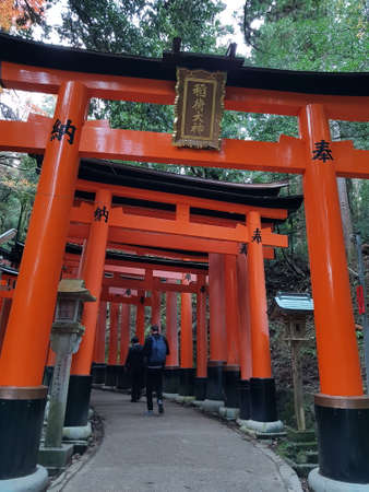 Torii gates of Fushimi Inari Shinto shrine. Surrounded by nature and green trees. Kyoto, Japan.のeditorial素材