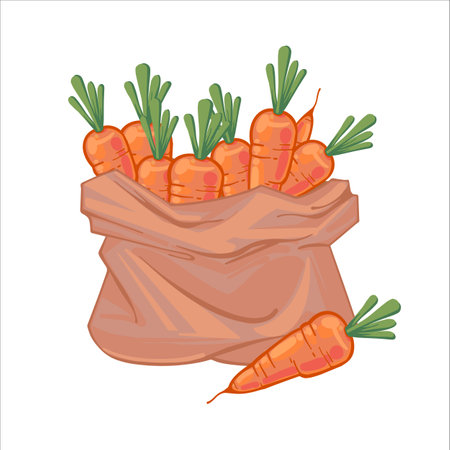 <p>Paper bag full of juicy ripe orange carrots. Canvas bag with carrots. Organic vegetables. hand drawn vector illustration isolated on white background. Icons bags with vegetables.</p>のイラスト素材