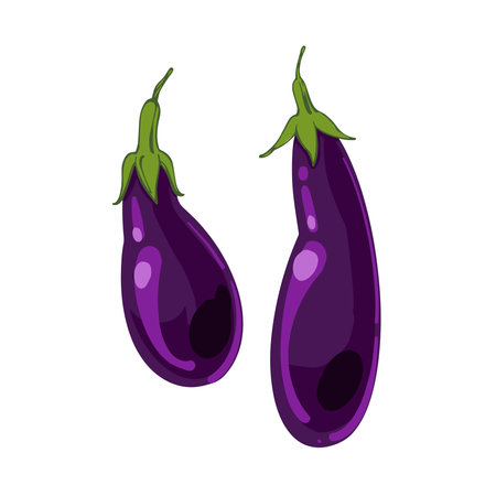 Ripe Fresh Eggplant, aubergine, hand drawn vector illustration isolated on white background. Fresh cartoon vegetable. Seasonal vegetables.のイラスト素材