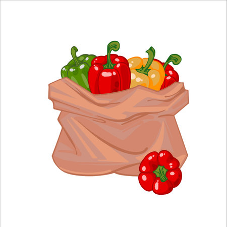 Paper bag full of red, green, yellow sweet peppers. Bell pepper in a canvas bag. Organic vegetables. hand drawn vector illustration isolated on white background. Icons bags with vegetables.のイラスト素材