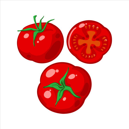 Set of fresh ripe red tomatoes, tomato slice. Vector illustration isolated on white background. Healthy vegetables icons. Clipart.のイラスト素材
