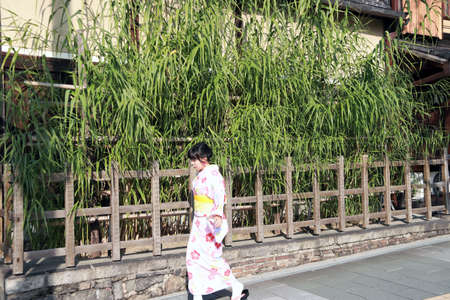 Kiyomizu, Higashiyama-ku, Kyoto Japan, November 17, 2017 : woman in Kimono dress walking on the walkway and background bamboo tree with wooden fence, In Kyoto people will wear national uniforms to worship at temple or Shrine.のeditorial素材