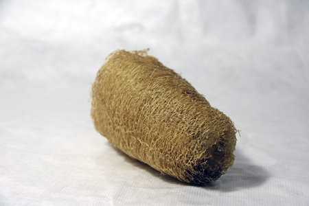 dry zucchini for scrub in bath time on white paper background. Brown dry plant for scrub the skin...