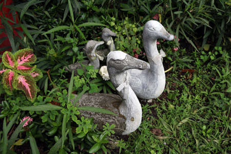 The family of stucco ducks in the bush. molded mortar of duct family in the brake.の写真素材