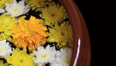 Closeup yellow marigold flower with white and yellow dandelions floating on the water with the edge...