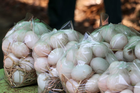 Duck egg on the straw in the plastic bag. It is an oval or round object laid by duck.