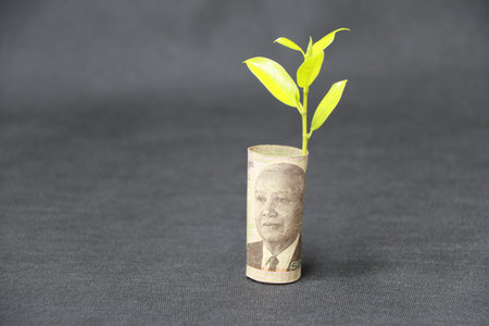Rolled banknote money five thousand Cambodian Riel and young plant grow up with dark grey floor and...