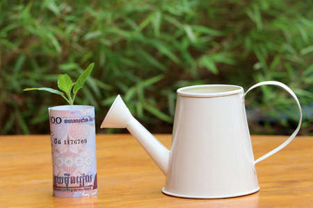 Rolled banknote money ten thousand Cambodian Riel and young plant grow up with small white watering can on the wooden floor and green nature background. Concept of money growth or currency interest.の写真素材